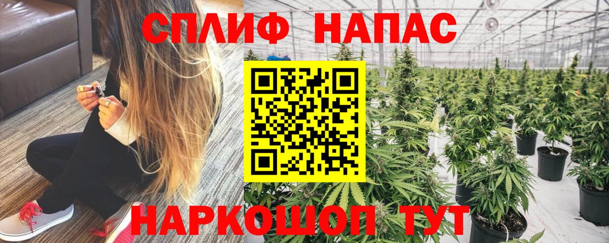 Канабис OG Kush Выкса